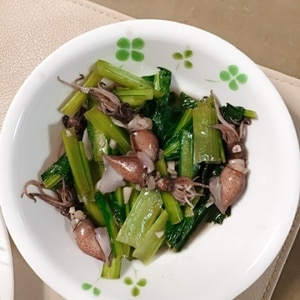 ホタルイカと小松菜の生姜炒め♩